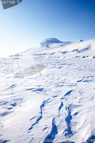 Image of Frozen Sea