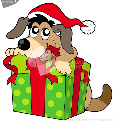 Image of Cute dog in Santas hat