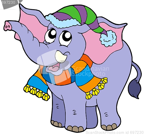 Image of Elephant in winter clothes