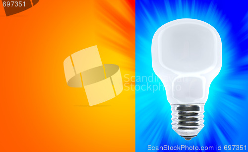 Image of White bulb