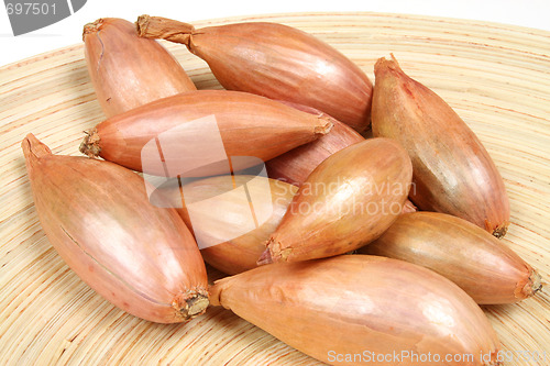 Image of Shallot onions