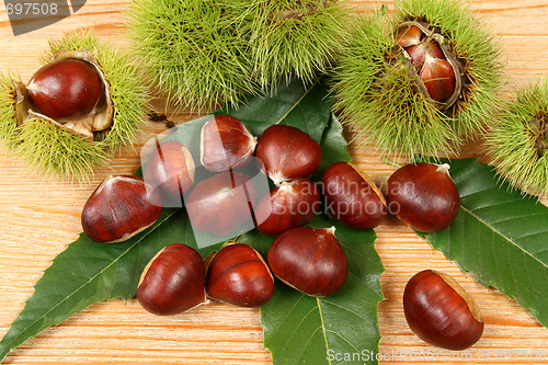 Image of Chestnuts.