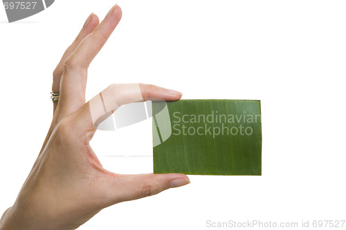 Image of Green Business Card