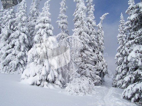 Image of Snow