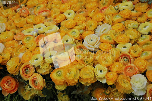 Image of Flowers in a Market, Miami, Florida, January 2007