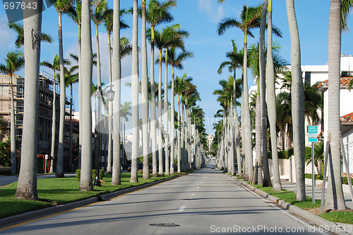 Image of West Palm Beach, Florida, January 2007