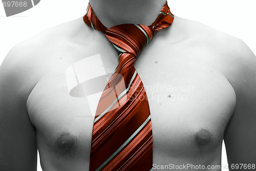 Image of tie on neck