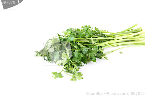 Image of herbs