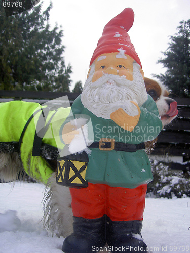 Image of christmas gnome