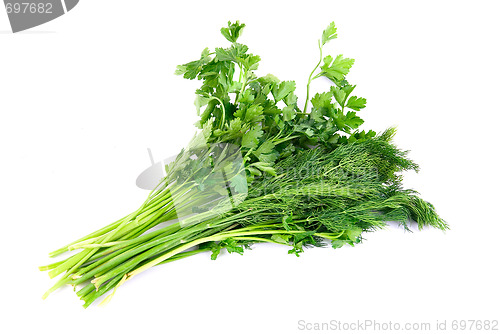 Image of fresh herbs