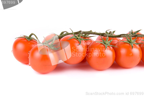 Image of Ripe red tomatoes