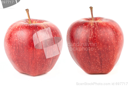 Image of Two apples 