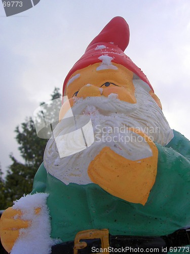 Image of christmas gnome