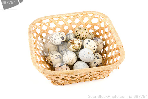 Image of  quail eggs