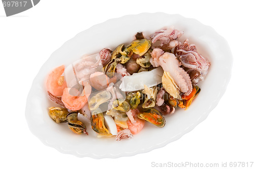 Image of Sea cocktail 