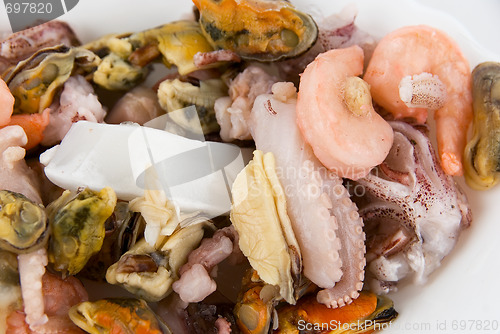 Image of Seafood background