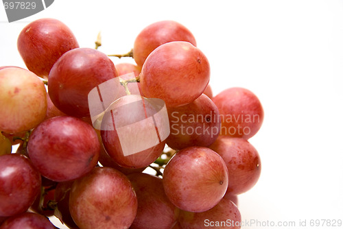 Image of Close-up of Pink grape cluster 