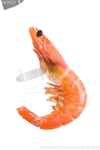 Image of King Shrimp