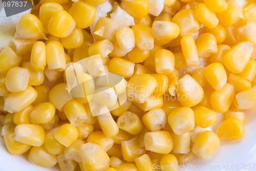 Image of corn seeds