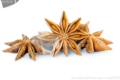 Image of Truestar anise trio