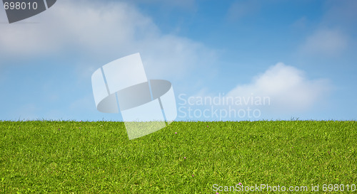 Image of grassland