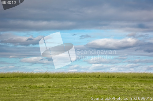 Image of meadow