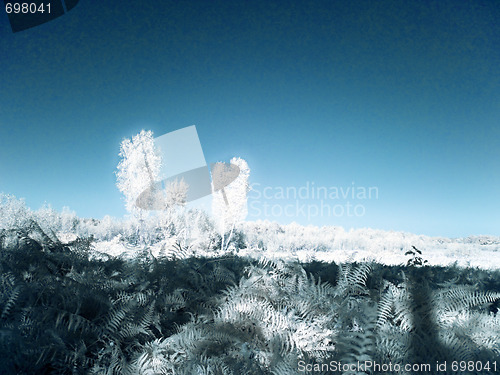 Image of Infrared landscape