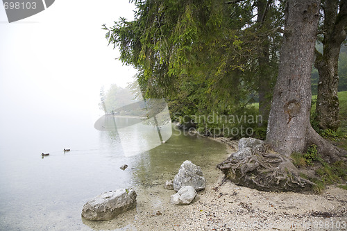 Image of By Lake Bohinj Slovenia