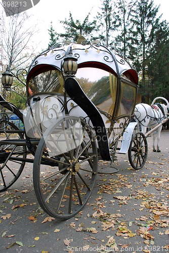 Image of Fairy Tale Coach