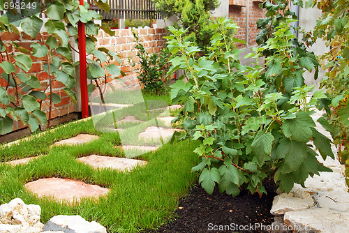 Image of Garden in home yard