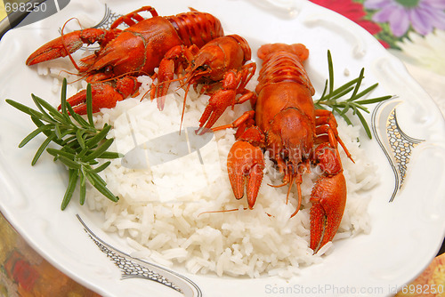 Image of Crayfish meal