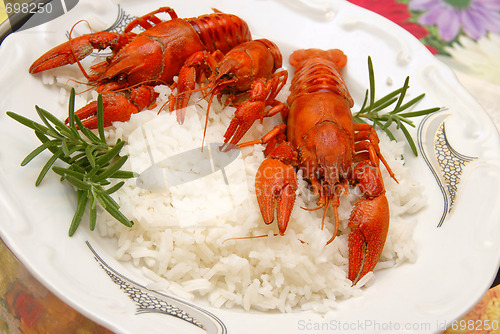 Image of Crayfish meal