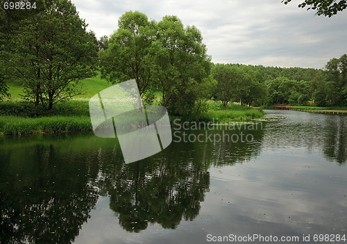 Image of Summer landscape