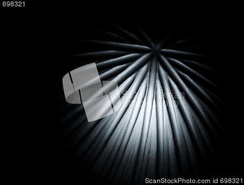Image of Background