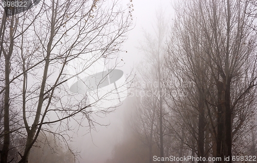 Image of Fog