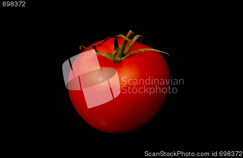 Image of Tomato