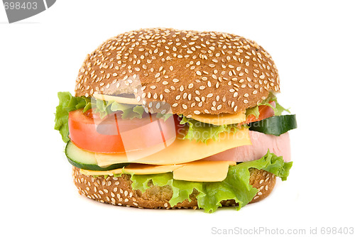 Image of Tasty Hamburger 