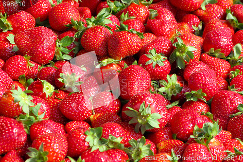 Image of Strawberries on the Market