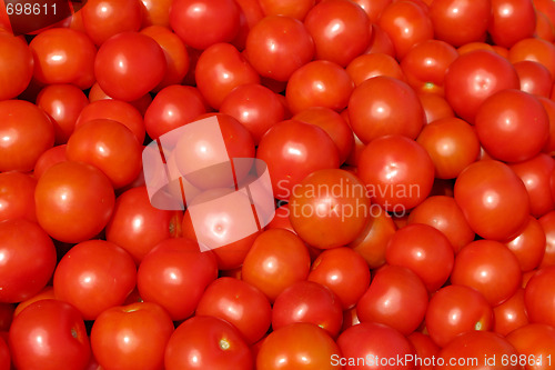 Image of Tomatos on the Market