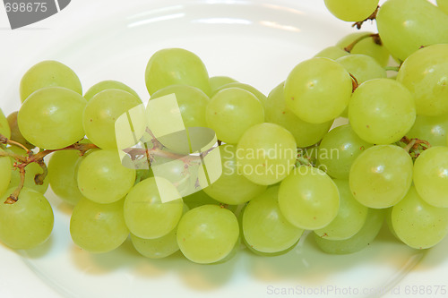 Image of Grapes isolated on white