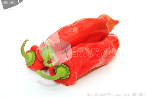 Image of Tasty kitchen. Fresh vegetables isolated on white