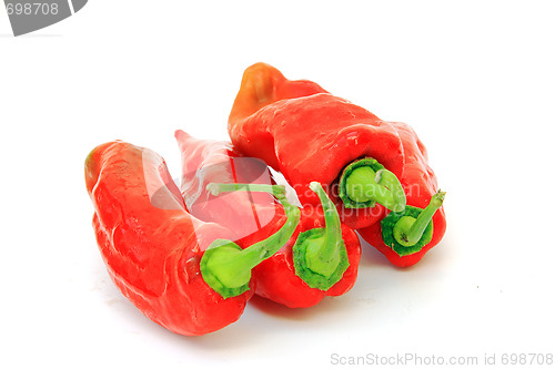 Image of Tasty kitchen. Fresh vegetables isolated on white