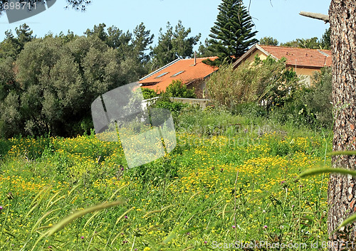 Image of Spring landscape