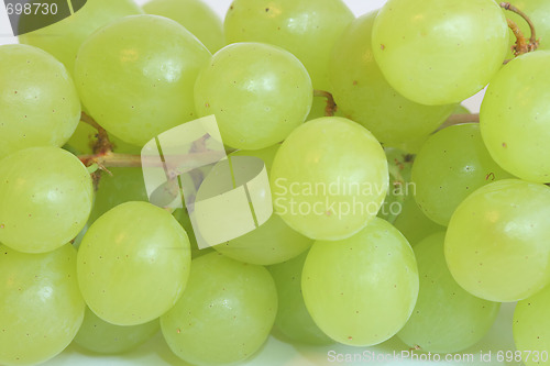 Image of Grapes isolated on white