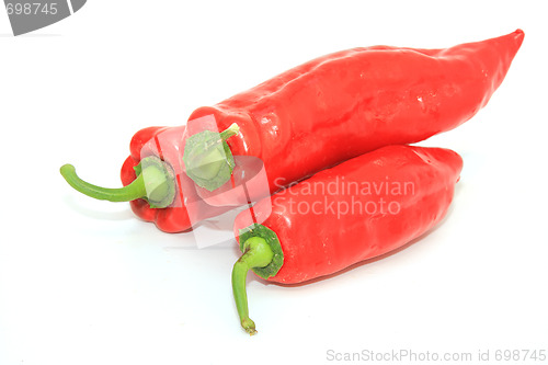 Image of Tasty kitchen. Fresh vegetables isolated on white