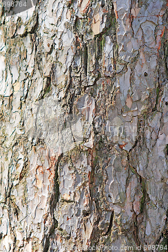 Image of Wooden texture