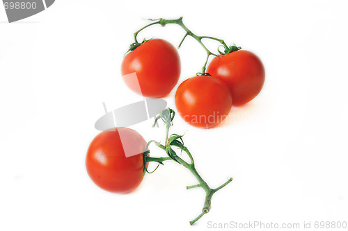 Image of Red tomatoes