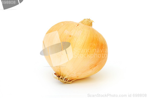 Image of Tasty kitchen. Fresh vegetables isolated on white