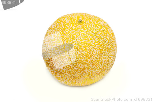 Image of Fresh tasty melon isolated on white background