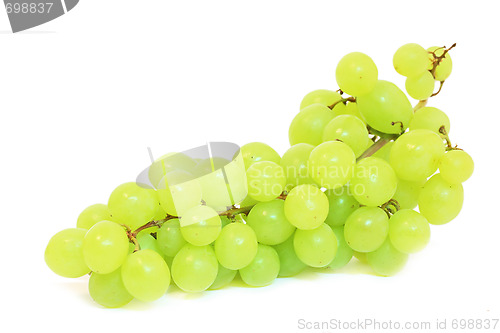 Image of Grapes isolated on white